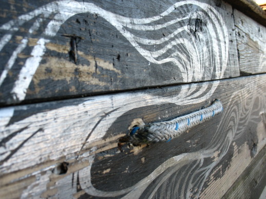 pontoon beauty.jpg